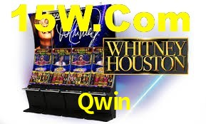 Programa VIP Qwin