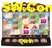 Qwin Casino